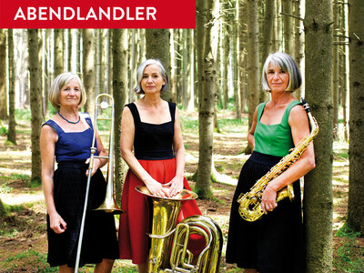 Wellküren Plakat 2019 "Abendlandler"